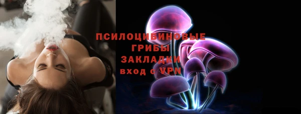 мескалин Няндома
