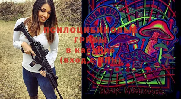 мяу мяу мука Гатчина