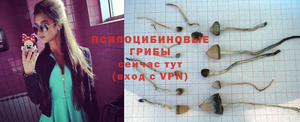jwh Новодвинск
