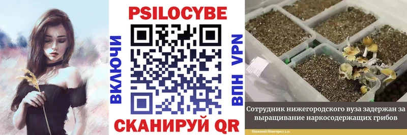 Псилоцибиновые грибы мухоморы  Спасск-Рязанский 